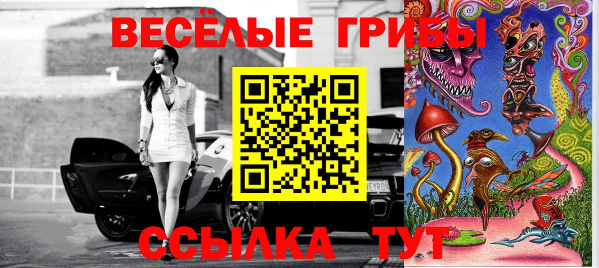 Псилоцибиновые грибы мицелий Троицк