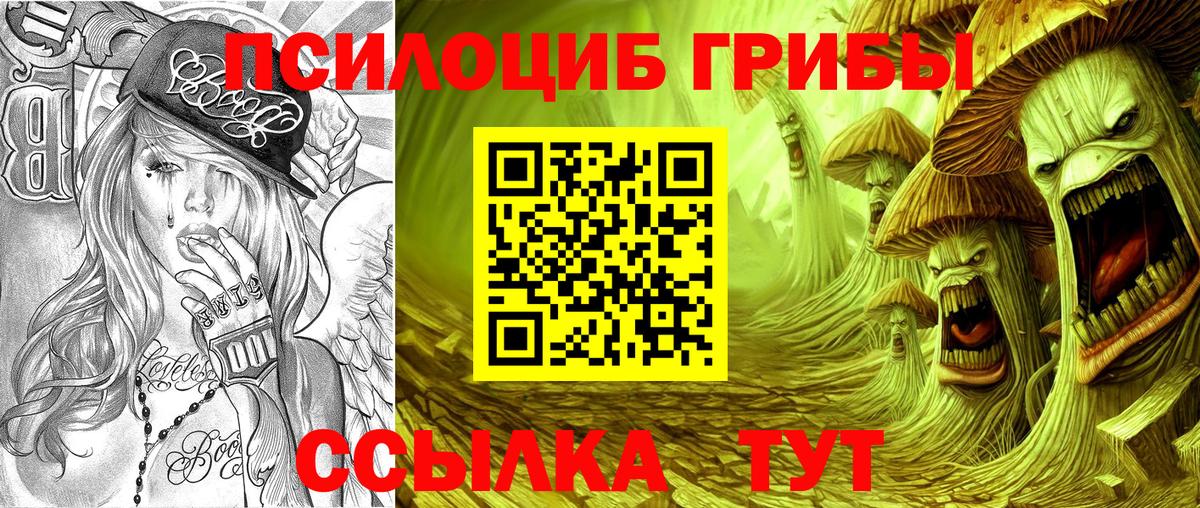 Троицк  Галлюциногенные грибы MAGIC MUSHROOMS  Вход с VPN 